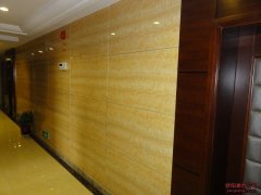 小海豚酒店